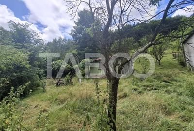 Teren 2500 mp la drum pe Valea Stezii Curmatura Rasinari - 2