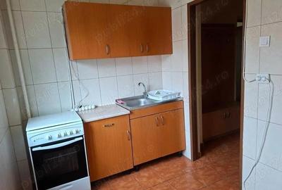 Garsoniera iancului-ritmului-metrou 7 minute - 5