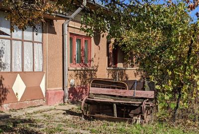 Casă cu 4 camere cu Teren 1600 Mp în Central - 4