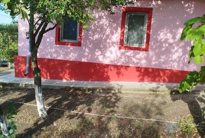Casă cu Teren 3000 Mp în Bucșani - 4