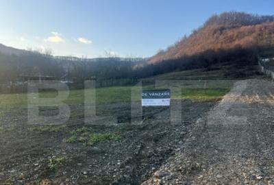 Teren de 1000 mp, în Viișoara - 3