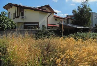 Bragadiru - Zona Haliu, Stradal - 5