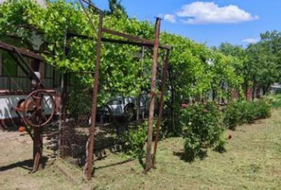 Casă de vânzare în Comuna Comana sat VLAD TEPES - 2