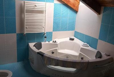 Penthouse exclusivist Bragadiru cartier Independentei Penthouse exclusivist Bragadiru cartier Independentei - 4