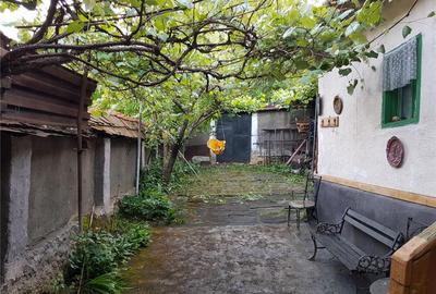 Casă cu 2 camere în Fârliug - 5