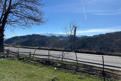 Teren intravilan 2500 mp Fundata la 15 km de  zona Bran-Moeciu - 1