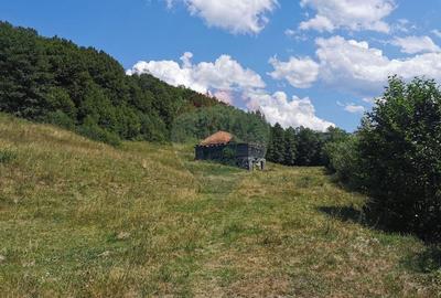 Teren intravilan si extravilan de vanzare, 25.380 mp Vanatori, Ciucea