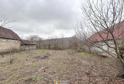 Teren de 3252 mp, în Tauț - 13