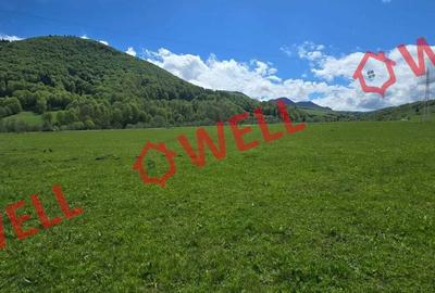 Spațiu comercial, în Vama Buzăului - 5