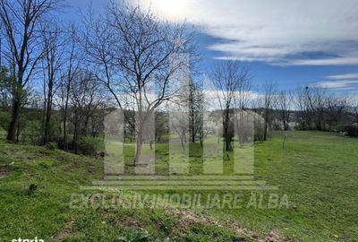 Casă cu 4 camere în Oarda - 17