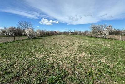 Casa noua de vanzare in Vulturu - H?ngulesti 89.000 Euro - 30