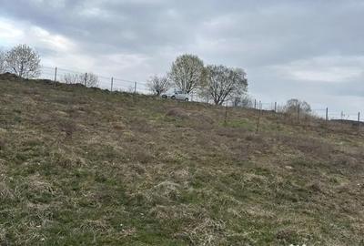 Teren de 1030 mp, în Vlădeni - 2