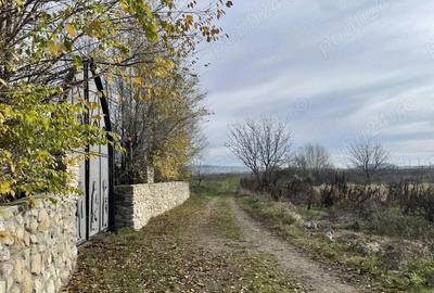 Teren de 431 mp, în Săteni - 2