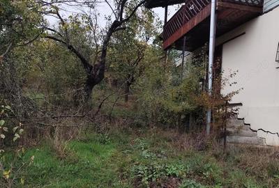 Casă cu 1 camere cu Teren 5000 Mp în Drajna - 4