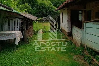 Casa bătrânească de vânzare | 4 camere | Hunedoara | Micănești - 32