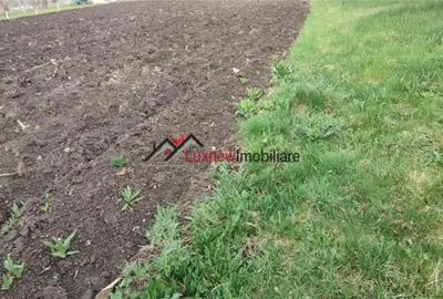 Teren de 600 mp, în Suceagu - 2