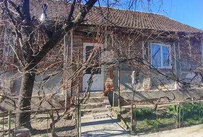 Casă cu 2 camere cu Teren 1800 Mp în Pădureni - 12