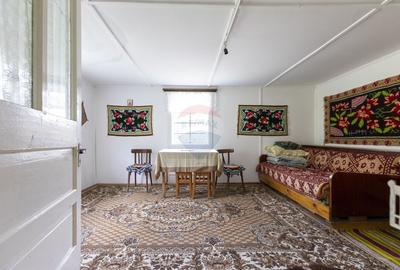 Ferma de vanzare, teren 21436 mp intravilan, Cosnea, Agas - 17