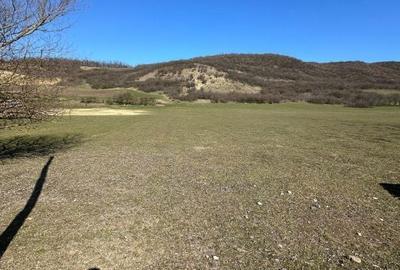 Spațiu comercial, în Mănăstirea - 4