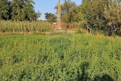 Teren intravilan 1,733mp Mitocasi, Suceava - 20