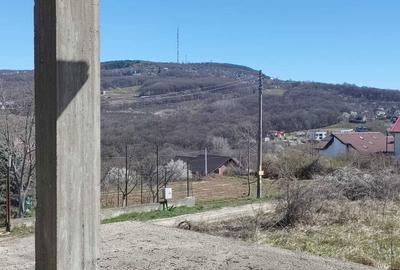 Spațiu comercial, în Vișan - 5