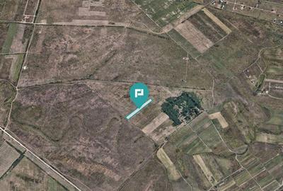 Teren extravilan de 10.000 mp - 2