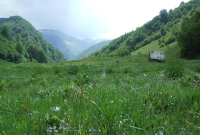 Raul Mare Retezat, spre statiunea de schi Rausor, Judetul Hunedoara - 6