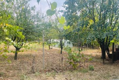 Teren agricol intravilan de 6300 mp, în Semicentral - 2