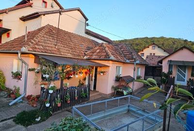 Casă cu 2 camere în Dezmir - 2