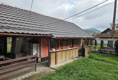 Casă cu Teren 445 Mp în Țărățel - 4
