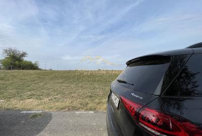 Teren Construcții intravilan de 15000 mp, în Snagov - 8