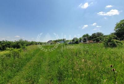 Teren 7200 mp ideal complex de case in sat Gheorghieni! - 3