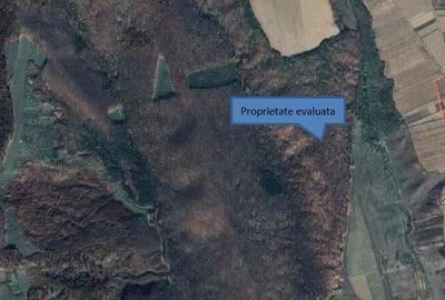 Teren extravilan padure, cota parte de 1/48 Horgesti, ID: R2325836 - 7