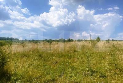 Teren de 1100 mp, în Ciurila