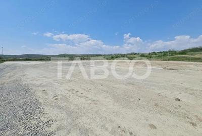 Teren de 40000 mp, în Teiu - 7