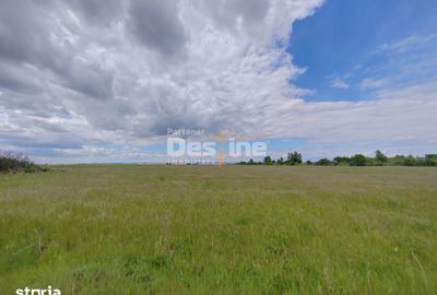 Teren de 114000 mp, în Ariceștii Rahtivani - 2