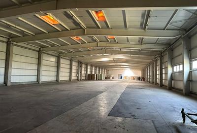 Spatiu depozitare - logistica 2.519 mp si birouri Chiajna A1 - 42