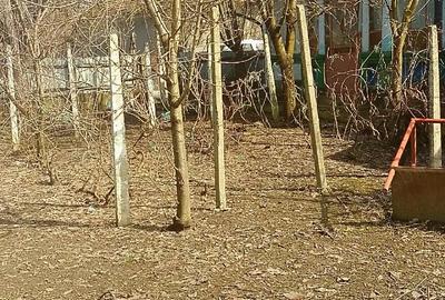 Casă cu 6 camere cu Teren 1600 Mp în Fântânele - 3