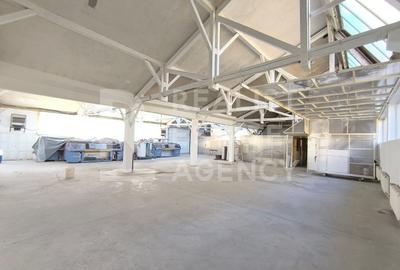 Spațiu industrial, de 1,220 mp, în Tohanu Vechi - 7