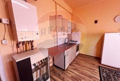 Casa de inchiriat in Baia Mare - 4