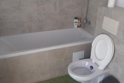 Apartament cu 2 camere decomandat în Dumbrăvița - 3