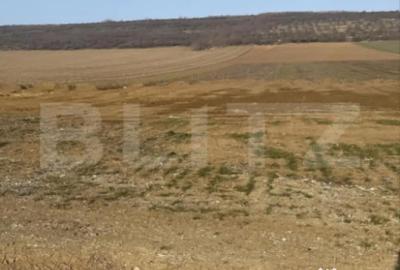 Teren de 12500 mp, în Central