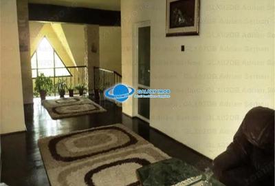 Vanzare vila P+M Targoviste, exterior sud - 11