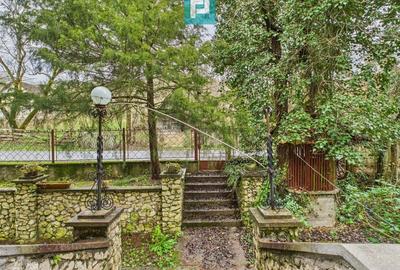 Casă P+E+M cu teren 8163 mp – Roșia Nouă (Petriș) - 4