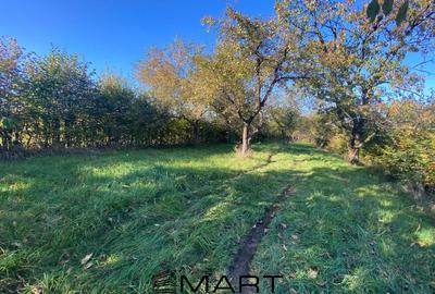 Teren agricol extravilan de 3200 mp, în Rășinari - 1