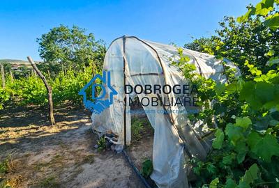 SOMOVA- CASA 4 CAMERE ,SUPRAFATA 98 MP, TEREN 1400 MP SOMOVA- CASA 4 CAMERE ,SUPRAFATA 98 MP, TEREN 1400 MP - 19