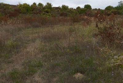 Teren de 800 mp, în Călinești