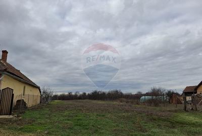 Teren Construcții intravilan de 1241 mp, în Frumușeni - 1