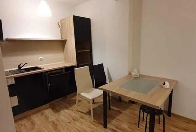 Apartament elegant, doua camere, Calea Mosilor - 4