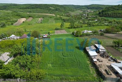 Teren de vanzare, Sat Valea Mare, Com. Ro?iori, Bacau - 11